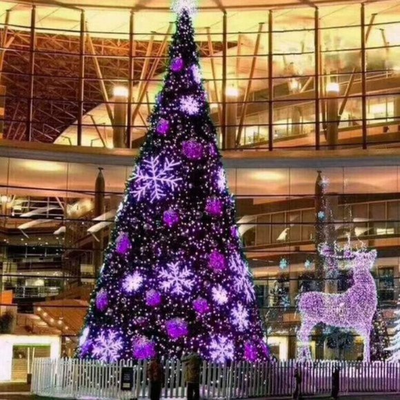 Home 200 LED Green Wire Fairy Starry String Lights Plug in 8 Lighting Modes - Picture 7 of 7